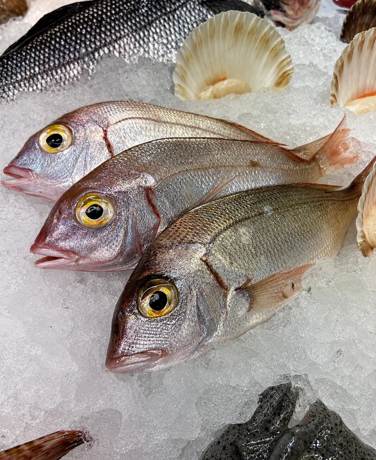 Pesce fresco del giorno